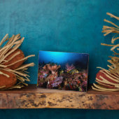 ラジャアンパット水中 フォトプラーク (側面)