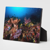 ラジャアンパット水中 フォトプラーク (側面)