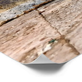 ラジャスタン通りシーン：インディアンスタイル ポスター (角)