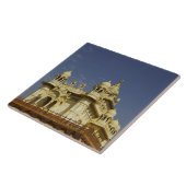 ラジャスタン、インドAの女性が立ち止まり タイル (側面)