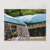 ラジョラの樺の木水族館の噴水 ポストカード (正面)