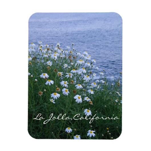 ラジョラの花と海 マグネット (縦)