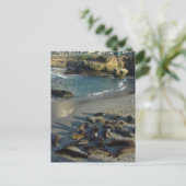 ラジョラコーブビーチウェーブスサンドシーズ ポストカード (スタンド正面)