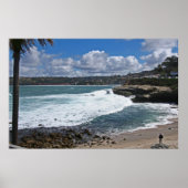 ラジョラコーブ ポスター (正面)