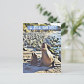 ラジョラシールズ シーズンポストカード (スタンド正面)