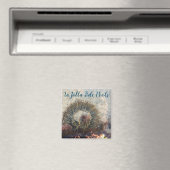 ラジョラタイドプールアネモン マグネット (インサイチュ (食洗機))