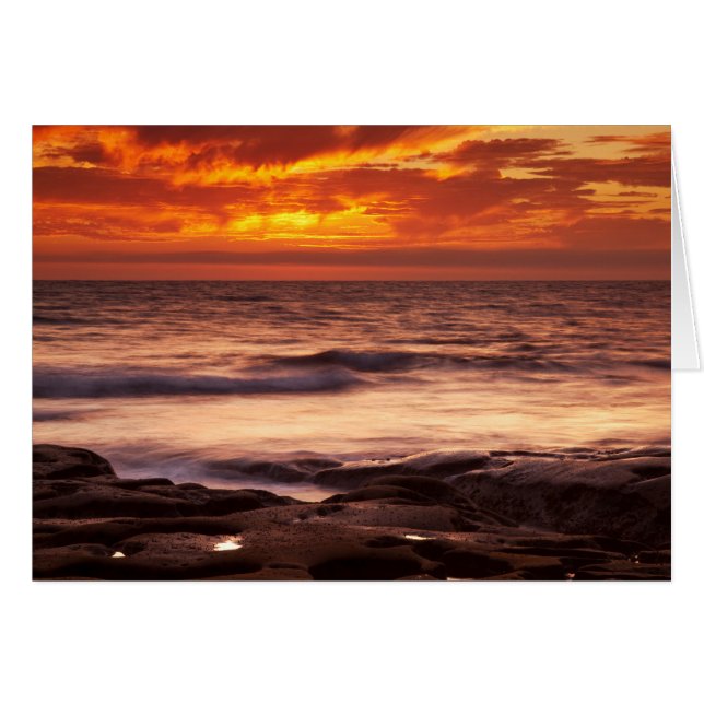 ラジョラタイドプールズ (正面横)