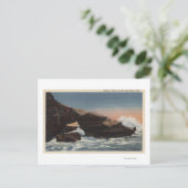 ラジョラ・アリゲーターヘッドの見解 ポストカード (スタンド正面)