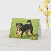 ラスカル カード (黄色い花)