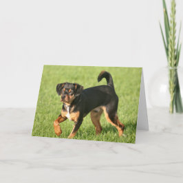 ラスカル カード