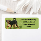 ラスカル ラベル (インサイチュ)