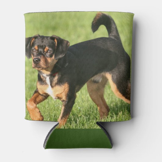 ラスカル 缶クーラー (正面)