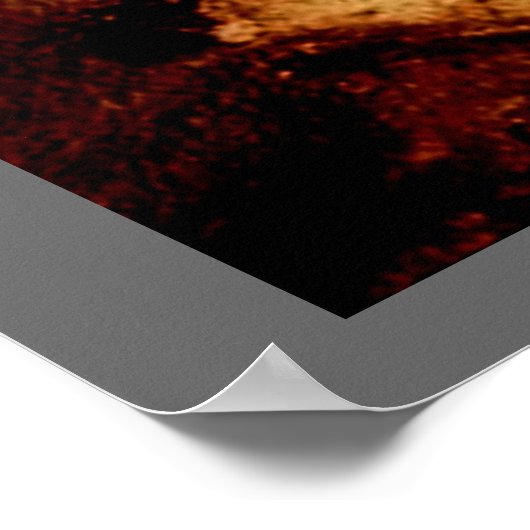 ラスコウホース ポスター (角)