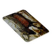 ラスコックスのレッドブル マグネット (右側)