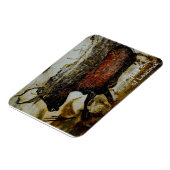 ラスコックスのレッドブル マグネット (左側)