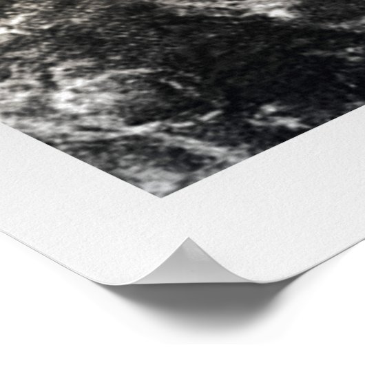 ラスコックスの鳥人間 ポスター (角)