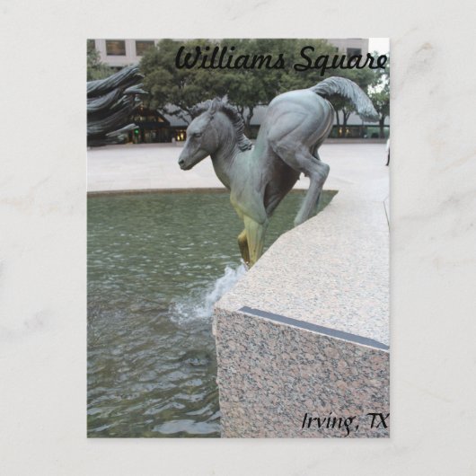 ラスコリーナスのムスタングス# 18 ポストカード (正面)