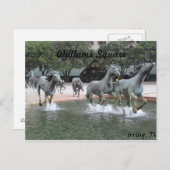 ラスコリーナスのムスタングス# 27 ポストカード (正面/裏面)