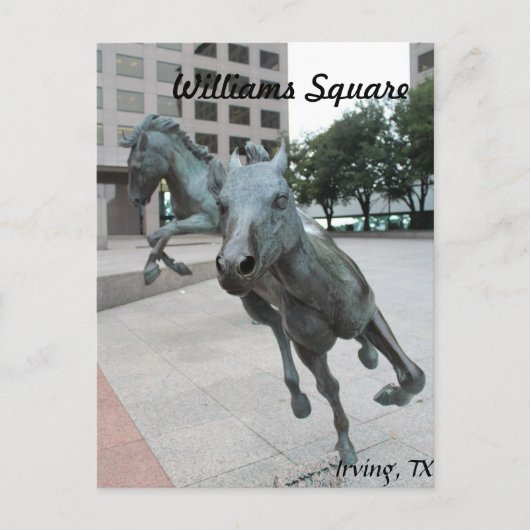 ラスコリーナスのムスタングス# 29 ポストカード (正面)