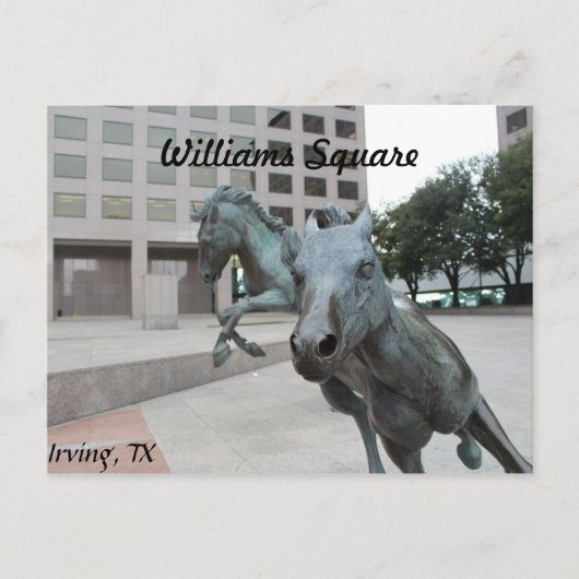 ラスコリーナスのムスタングス# 9 ポストカード (正面)