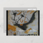 ラスコー大鹿 ポストカード (正面/裏面)