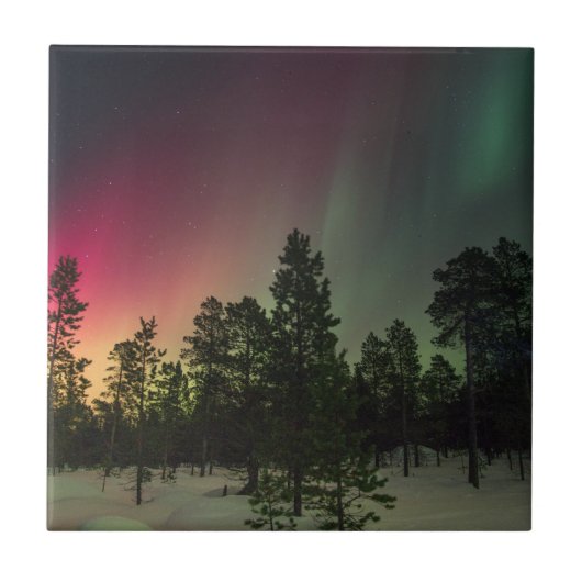 ラスタBorealis タイル (正面)