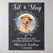 ラスティックなウェルカムペットドッグフォトウェディング ポスター (正面)