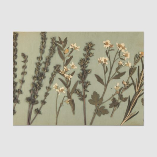 ラスティックハーブと野の花の薄葉紙 薄葉紙 (正面)