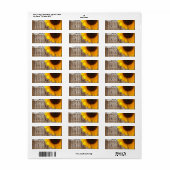 ラスティックバーンウッドレース西カントリーサンフラワー ラベル (フルシート)