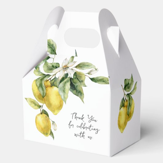 ラスティックボホーウォーターカラーレモン ブライダルシャワー フェイバーボックス (正面)