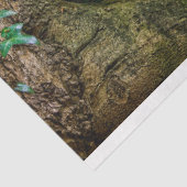 ラスティレッドトラックヴィンテージ20x30デコページ 薄葉紙 (詳細)