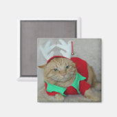 ラスティーザトナカイ小妖精や小人 マグネット (正面/裏面)