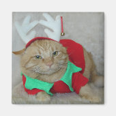 ラスティーザトナカイ小妖精や小人 マグネット (正面)