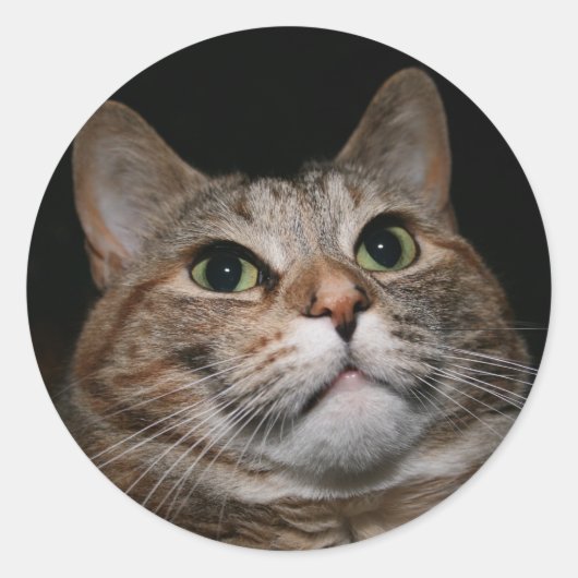 ラスティ ラウンドシール (正面)