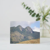 ラステタスデカイイ ポストカード (スタンド正面)