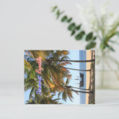 ラステレナスサマナドミニカ共和国で出荷 ポストカード (スタンド正面)