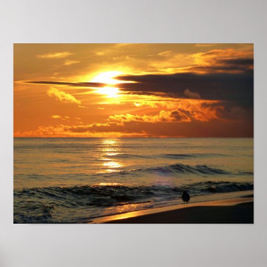 ラストサンパイパー ポスター (正面)