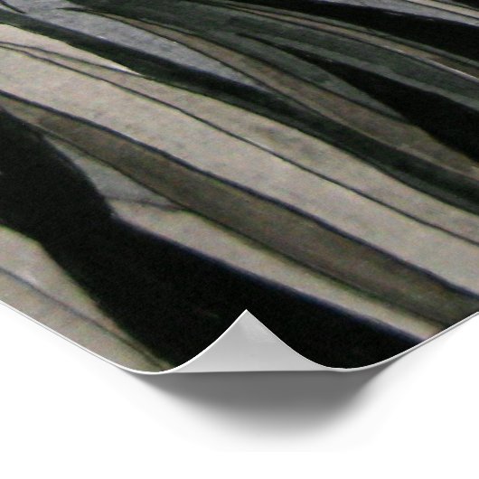 ラストタイガー – ポスター (角)