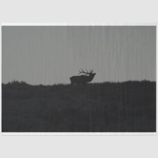 ラストバングル 薄葉紙