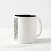 ラスト遠くに ツートーンマグカップ (正面右)