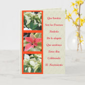 ラスパスクアスソンシンボロデアレグリアンラナビダッド カード (黄色い花)