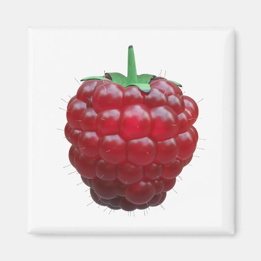 ラスピベリー マグネット (正面)