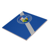 ラスベガスシティ国旗 タイル (側面)