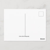 ラスベガススカイラインポストカード ポストカード (裏面)