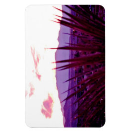 ラスベガススカイラインレジデンシャルマウンテンビュー#1 マグネット