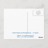 ラスベガスストリップ#5 ポストカード (裏面)