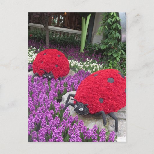 ラスベガスバタフライガーデンフラワーラディバグユニークG ポストカード (正面)