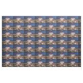 ラスベガス織物 ファブリック (ファットクウォーター)