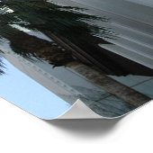 ラスベガス ポスター (角)