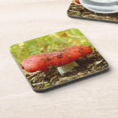 ラスルエメティカ懸命プラスチックばいせん コースター (左側)